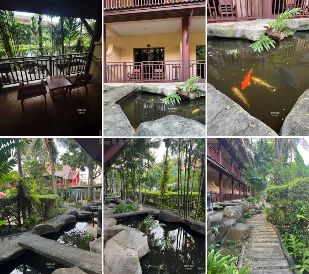 Kata plam Resort & Spa Superior Room 객실사진 6