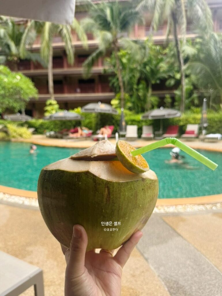 Kata plam Resort & Spa 수영장 사진5